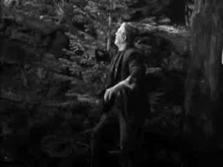 Bride Of Frankenstein, The Hazards Of Helen, The Balloonatic