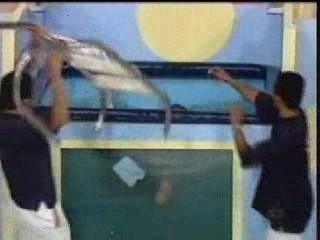 Premio ou Agua (Brazilian Wetlook)