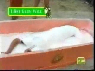 IBYW / Princess Diaries / Raymond