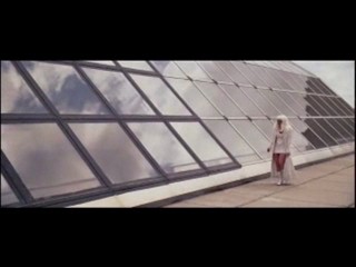 Christmas in Wonderland