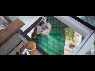 Christmas in Wonderland