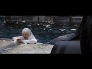 Christmas in Wonderland