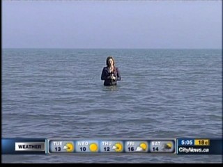 CITY TV News Toronto