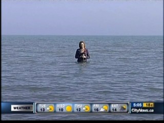 CITY TV News Toronto