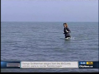 CITY TV News Toronto