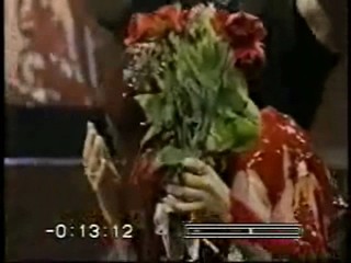 MTV K!dnapped,  Tiswas,  Weinerville