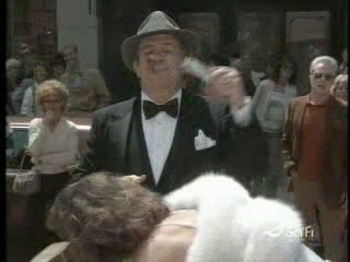 USA Up All Night  and Amazing Stories