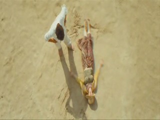 Bridget Jones The Edge Of Reason 