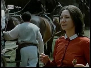 Ako listy jedneho stromu 1