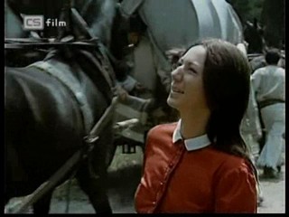 Ako listy jedneho stromu 1