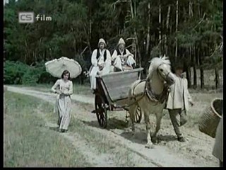 Ako listy jedneho stromu 1