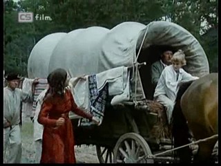 Ako listy jedneho stromu 1