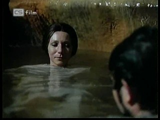 Ako listy jedneho stromu 3