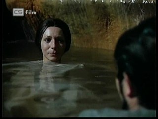 Ako listy jedneho stromu 3