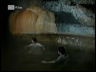 Ako listy jedneho stromu 3