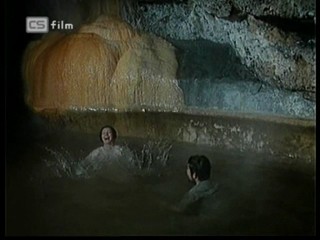 Ako listy jedneho stromu 3