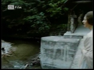 Ako listy jedneho stromu 4