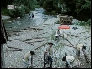 Ako listy jedneho stromu 4