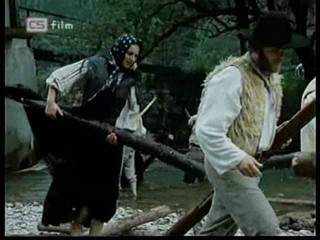 Ako listy jedneho stromu 4