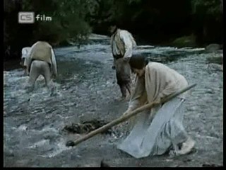 Ako listy jedneho stromu 4