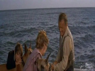 The Swiss Family Robinson