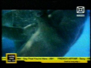 TLC - Commo te quiero