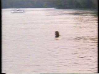 Hallmark Channel wetlook