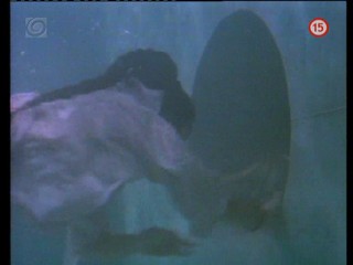 Big Trouble in Little China