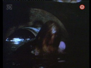 Big Trouble in Little China