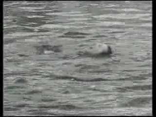 Ceska soda - Kruta kamera - Pepicek