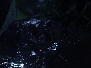 Japanese girl into the mud pool!