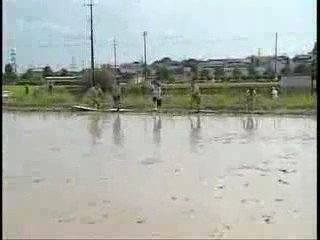 Doronko Festival Games
