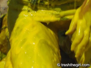 TrashTheGirl January Updates