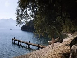 Captain Corelli's Mandolin