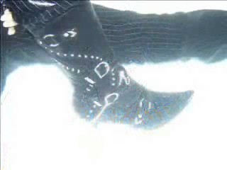 TUB QUEENS Photo Movie Show