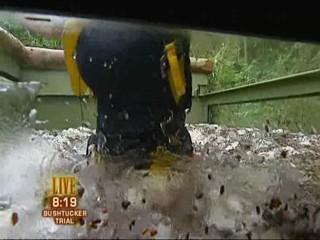 I'm a Celebrity, Get Me Out of Here