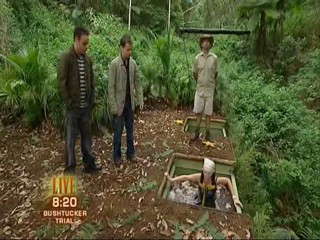 I'm a Celebrity, Get Me Out of Here