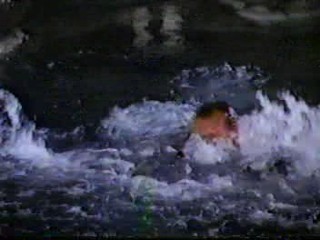 Hamburger... The Motion Picture