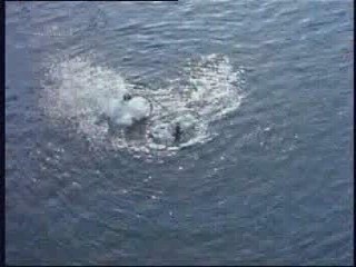 Tidal Wave: No Escape