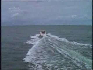 Tidal Wave: No Escape