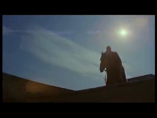 Never Say Never Again