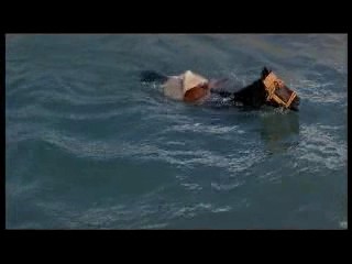 Never Say Never Again