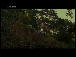 Tarzan and the Lost City