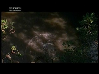 Tarzan and the Lost City