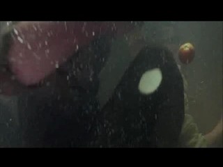 King Solomon's mines