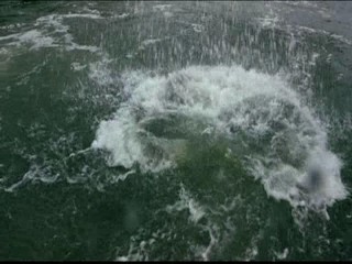 Me, Myself And Irene