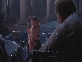 Cat On A Hot Tin Roof