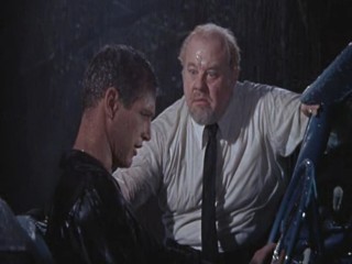 Cat On A Hot Tin Roof