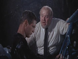 Cat On A Hot Tin Roof