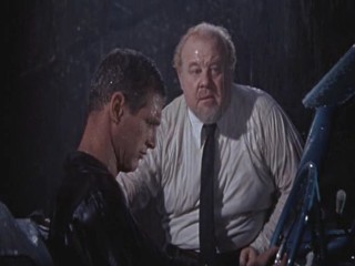 Cat On A Hot Tin Roof